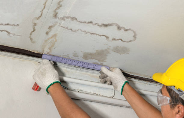 Reliable Mold Remediation contractor in Detroit, MI by Water Damage Irwin